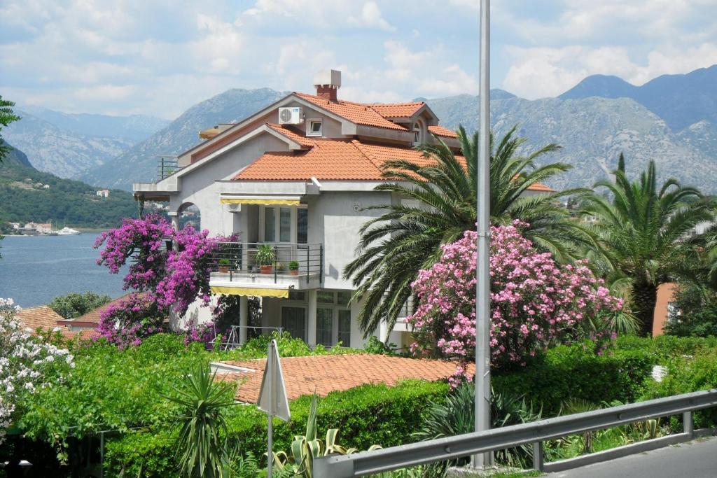 Palma Apartments Kotor Dış mekan fotoğraf
