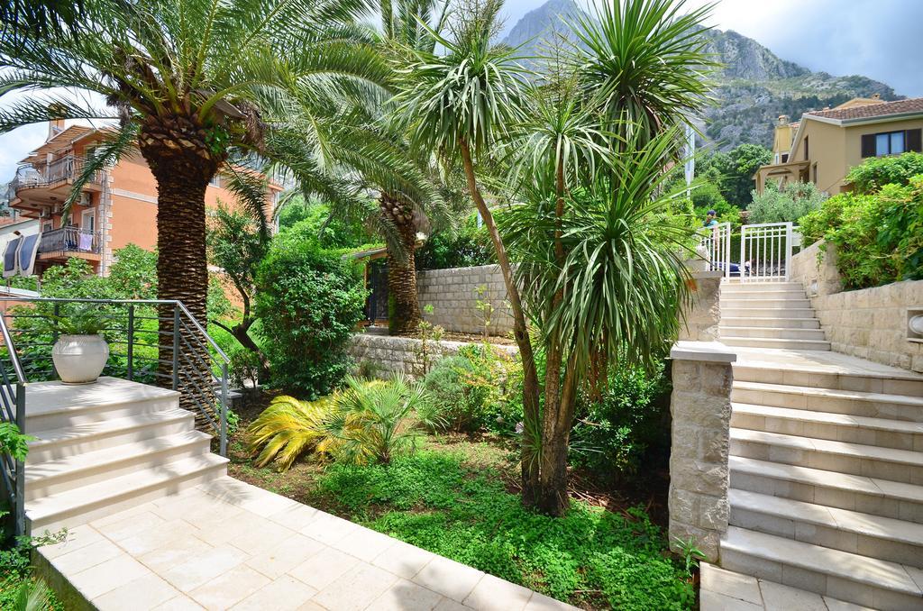Palma Apartments Kotor Dış mekan fotoğraf